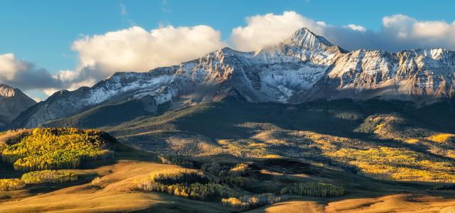Golden Autumn Aspen on Last Dollar Road Near Telluride Colorado